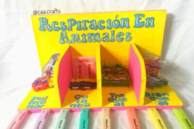 mundoreparacin 67c8e0e4b5b6c 2605